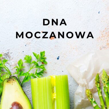 Dieta dna moczanowa